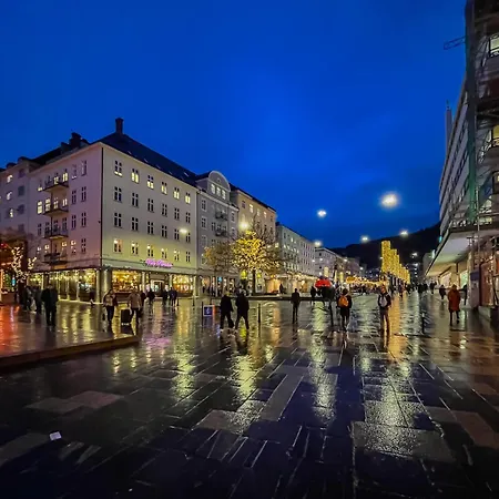 Studioleilighet I Sentrum Lejlighed Bergen